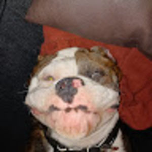 Meet your Posher, Eli